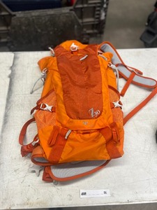 lot 56 image: GREGORY HIKING BACKPACK