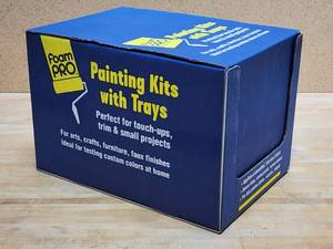lot 204 image: Case of Foam Pro Painting Kits
