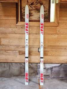 lot 244 image: Pair of Adult Elan Down Hill Skis