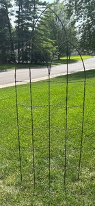 lot 175 image: Decorative Metal Yard Trellis