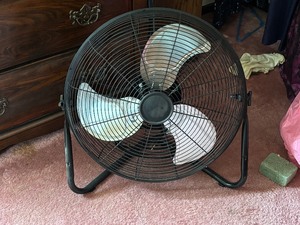 lot 24 image: Fan