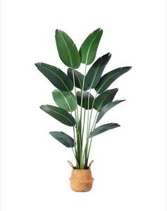 lot 110 image: Faux Bird of Paradise Plant, 71 Inch with Woven Basket $67.99 - Brand New
