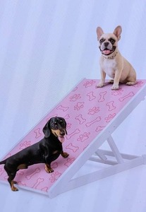 lot 153 image: Wooden Dog Ramp Pink Mintedpaws $89.99 - Brand New