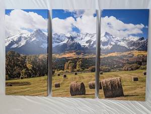 lot 116 image: Triptych Landscape Canvas Prints