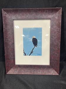 lot 61 image: Framed Eagle Print Signed by Artist Mitt Sinnen 11
