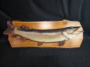 lot 113 image: Vintage Mounted Northern Pike Fish on Wooden Plaque