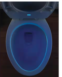 lot 26 image: Delta Sanborne Elongated Toilet Seat with NightLight in White