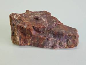lot 239 image: Large Piece of Arizona Petrified Wood - Just Under 5lbs