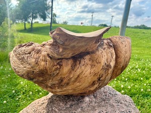 lot 7 image: HUGE Carved Natural Burlwood Bowl