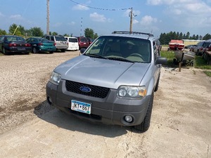 lot 12 image: 2007 Ford Escape