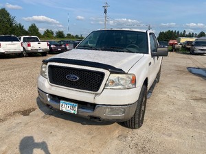 lot 19 image: 2004 Ford F150