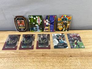 lot 257 image: 9 Terrell Owens NFL Football Card Lot - Inserts & Parallels J