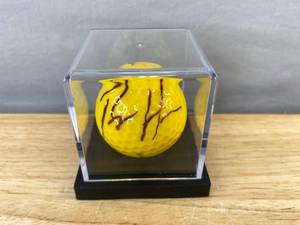 lot 10A image: Percy Harvin NFL Minnesota Vikings Autographed Golf Ball in Display Case X