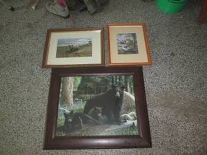 lot 52 image: Framed Wildlife pica including bear...