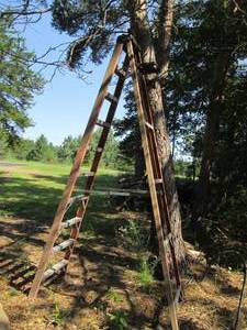 lot 152 image: 10ft Fiberglass folding ladder...