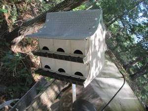 lot 153 image: Outdoor Martin bird house...