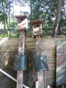 lot 154 image: Pair of bird or bat houses affixed ...