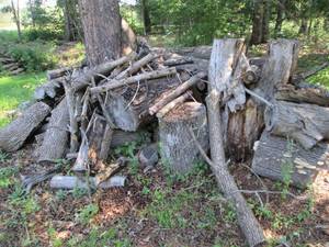 lot 157 image: Large pile of medium to large sized...