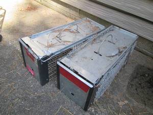 lot 160 image: Pair of metal live traps...