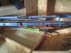 lot 219 image: Rossignol LTS 49 Series AR & other ...