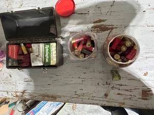 lot 822 image: Mixed Lot of Shotgun Shells and .22 Long Rifle Cartridges with Plastic Storage Box