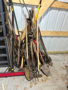 lot 841 image: Lot of Assorted Garden Tools Including Shovels, Rakes, and Hoes