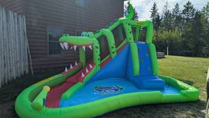 Inflatable Dragon Slide