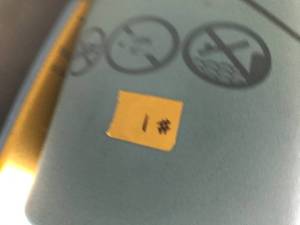 lot 9 image: Lily Pad Floating Pad #1