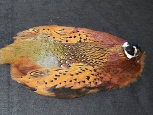 lot 20 image: PHEASANT PELT
