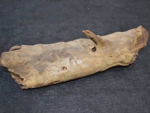lot 48 image: PETRIFIED WOOD