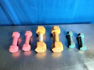 lot 49 image: Dumbells