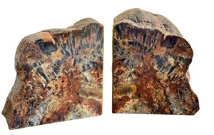 lot 37 image: Pair of Petrified Wood Bookends 4 Inch Rustic Natural Decor