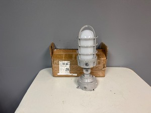 lot 36 image: Vapor Light 90 Degree Adjustable Cage Light (9.5 Tall, 5 Diameter)