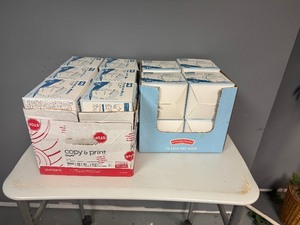 lot 52 image: 20 Boxes (30 per Box) KN95 Protective Masks