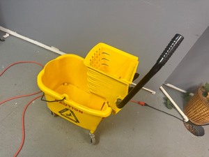 lot 9 image: Mop Bucket
