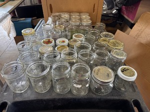 lot 41 image: Approx. 45 Canning Jars. Various sizes.