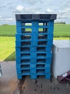 lot 3 image: 11 Plastic pallets. Ten measure 40X40.  One measures 40X48.