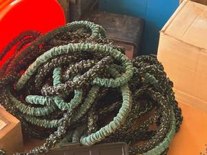 lot 820 image: Lot of (1 Bucket  2) Expanding Water Hoses