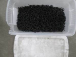 lot 139 image: lot of Phillips screws