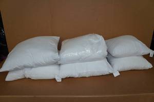 lot 109 image: 6 Throw Pillow Inserts - 20x20 & 16x16