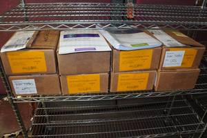 lot 91C image: Large Amount of Textbooks and Workbooks - Grade 2 Social Studies, Grade 6 Science