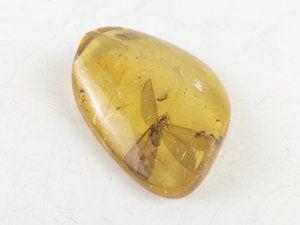 lot 24 image: Amber Stone with Insect Inclusion, 6.5 Grams