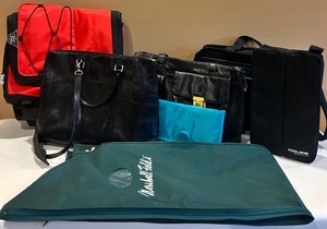 lot 75 image: Collection of Professional Bags and Insulated Cooler on Wheels