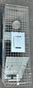 lot 213 image: Havahart Large Animal Live Trap