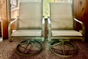 lot 153 image: Pair of Suncoast Outdoor Swivel Chairs