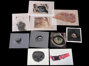 lot 6A image: Collection of 10 Animal-Themed Art Prints and Drawings - Original Artwork
