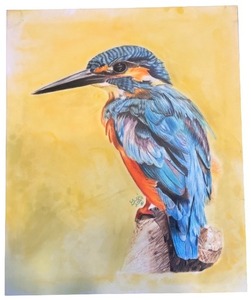 lot 11A image: Kingfisher Bird Original Colored Pencil Artwork