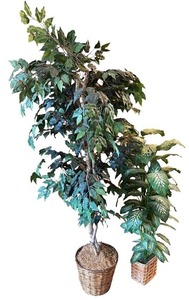 lot 133 image: Pair of Artificial Potted Trees in Wicker Baskets