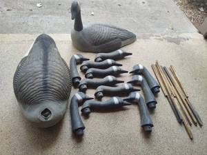 lot 49 image: Duck Decoys Note Coon Rapids Pick Up Location