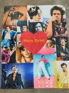 lot 79 image: Harry Styles Plush Blanket